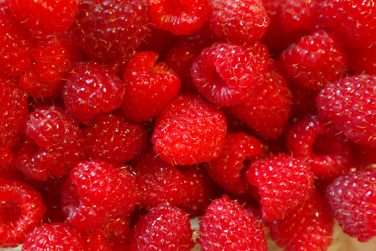 Raspberry and Lemon Verbena Cordial